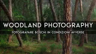 L'importanza di METTERSI ALLA PROVA | Fotografare BOSCHI e FORESTE in condizioni difficili