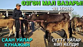 СААН УЙЛАР КУНАЖЫН УРГААЧЫ ТОРПОК БААЛАРЫ 🤯 