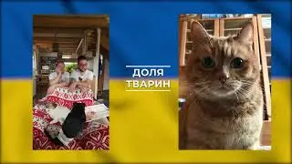 РУСЬКА ОКУПАЦІЯ ПУХНАСТОГО ГУРТОЖИТКУ