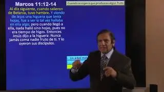 Controversias En Jerusalén, Lección 9, Escuela Sabática Para El 31/08/2024