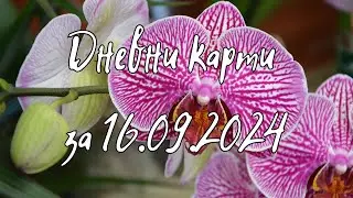 Дневни карти за всички зодиакални знаци за 16.09.2024