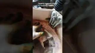 Как самому заменить подшипник в стиральной машине "атлант"