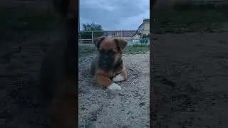 Завтра на работу!😧☹️#юмор#shorts