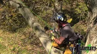 S.R.S. Controlled Swing