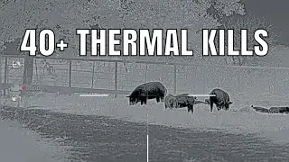 40+ THERMAL KILLS