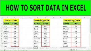 how to sort data in excel | How to Sort Value with Data (Large to Small & Ascending to Descending)