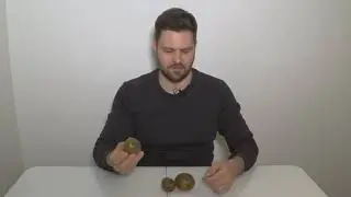 Киви. Обзор популярных сортов. Киви голд (kiwi gold)