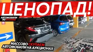 СКУПАЕМ АВТОМОБИЛИ НА АУКЦИОНАХ🔥ЦЕНЫ ОТ 650ТЫСЯЧ РУБЛЕЙ❗️ПОВЫШЕНИЕ УТИЛЬ СБОРА БЛИЗКО😱ЧТО НАС ЖДЕТ⁉️