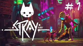 ► Stray #1 КОШАЧИЙ КИБЕРПАНК Прохождение на русском