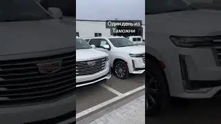 Один день из таможни