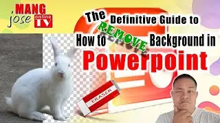 The Definitive Guide to how to remove background in powerpoint