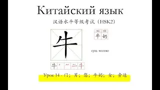 Китайский язык .新HSK2 урок 14 слова и предложения.门；男；您；牛奶；女；旁边