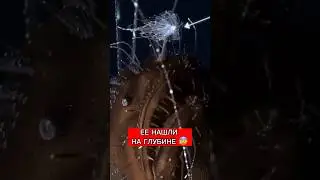 СТРАШНЫЕ СУЩЕСТВА СНЯТЫЕ НА КАМЕРУ В ОКЕАНЕ!!!