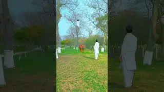 VFX magic funny video 🦁🙊 #vfx #magic #funny #comedy #viral #shortvideo
