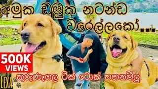 අමුක ඩුමුක නටමුදෝ../amuku dumuku damal dumal