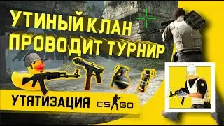 Утиный клан в CS:GO проводит турнир