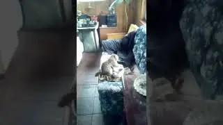 Утреный масаж