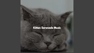 Cultivated Music for Shared Desks
