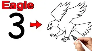 How To Draw An Eagle Easy Step By Step With Number 3 | How To Draw An Eagle Flying With Number 3