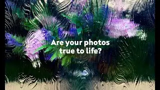 Are your photos true to life?