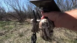 4G LTE Cellular Wireless Trail Camera By Ebitcam Review