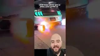 Cada Vez La Gente Esta Más Loca!! // 