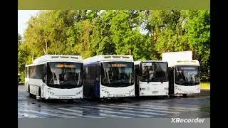 автобус к431 к100, аквапарк Питерлэнд СПб фото