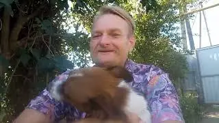 Фаня граються з Річі, а я начав робити каркас під туалет.
