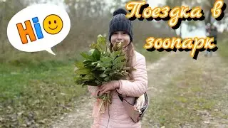 Поездка в зоопарк. Зоопарк в Жировичах. Слонимский район. Эдемский зоосад. Жировичский зоопарк.