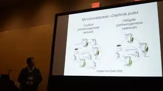 Xu: Misregulated gene expression in an obligate parthenogen