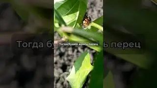 Поставил раком  