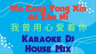 wo ceng yong xin ai zhe ni karaoke 我曾用心爱着你 dj house mix female (潘美辰 Pan Mei Chen) || New