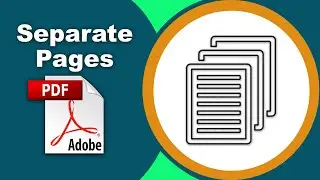 How to separate pages in pdf (Organize Pages) using Adobe Acrobat Pro DC