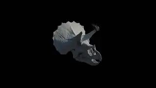 Triceratops Disintegration