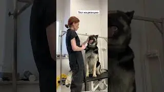 Пройден? 