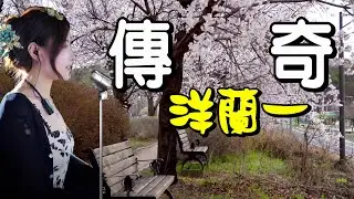 傳奇---洋瀾一