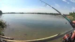 Рыбалка после работы. Versus по низам теста.