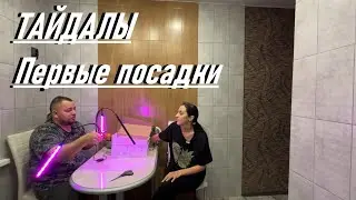 Посадка 2024/Тайдалы/новые лампы для рассады/Семена Алтая