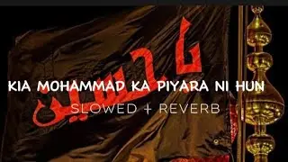 KIA MOHAMMAD KA PIYARA NI HUN(SLOWED) NOAH @SyedNadeemSarwar @AhmedMoharam