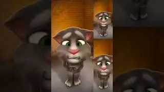 Talking Tom Cat - YouTube Poop