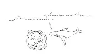 Why is biodiversity distributed unevenly?