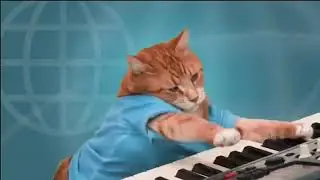 Кот играет на пиано для (музыкальных пауз)