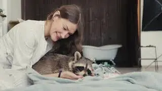 In bed with a raccoon