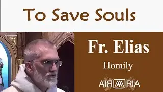 A Great Spiritual Director - Oct 24 - Homily - Fr Elias