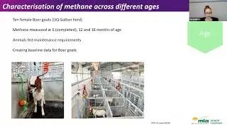 MLA Goat Roadshow Webinar - How goats can be part of the carbon sustainability system