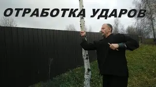 Тренировка ударов на дереве, короткая палочка