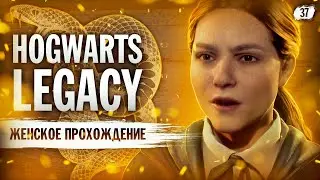 ПОБИЛИ ВСЕ РЕКОРДЫ ▼ HOGWARTS: LEGACY (СЛИЗЕРИН) #37 [Hogwarts Legacy прохождение на ПК]
