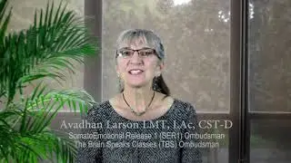 The Brain Speaks 1 (TBS1); CST Techniques for Listening to and Working with the Brain Info Video