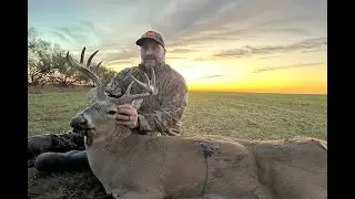 North Texas Hill Country Old Bruiser of a Buck and big doe hit the ground 