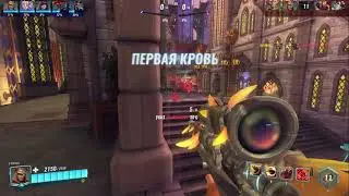 paladins